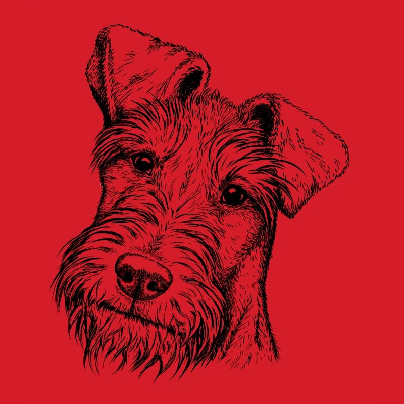 Irish Terrier Portrait