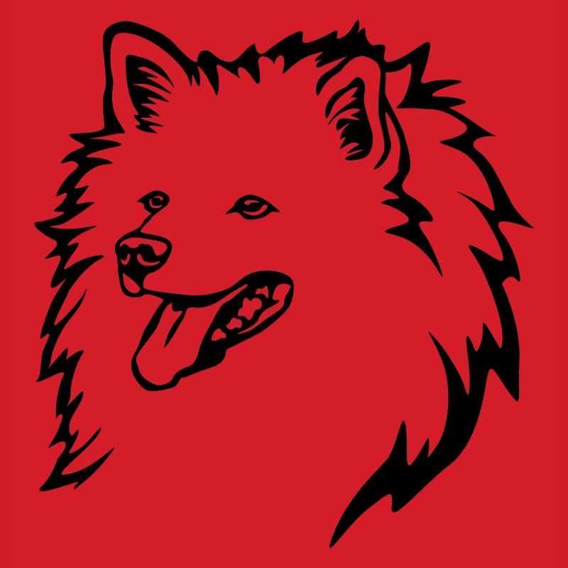 Spitz Kopf