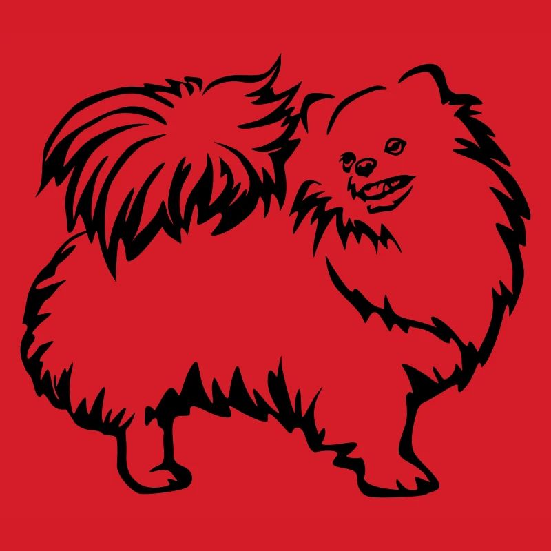 Spitz nain