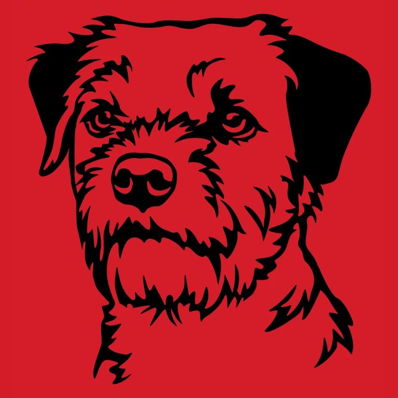 Border Terrier Head