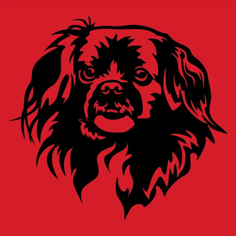 Tibetan Spaniel Head