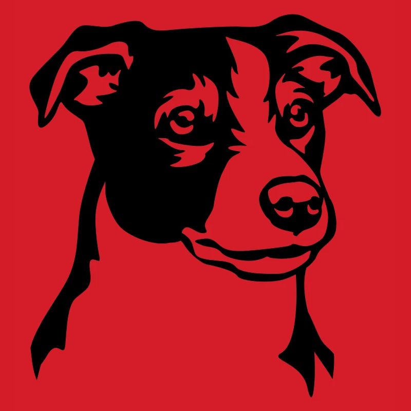 Jack Russell Terrier Kopf