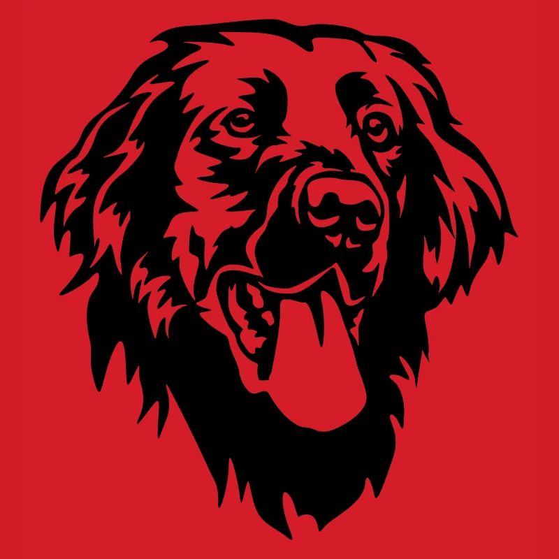 Flat-coated Retriever Head