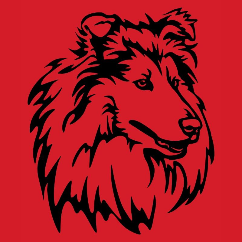 Collie Kopf