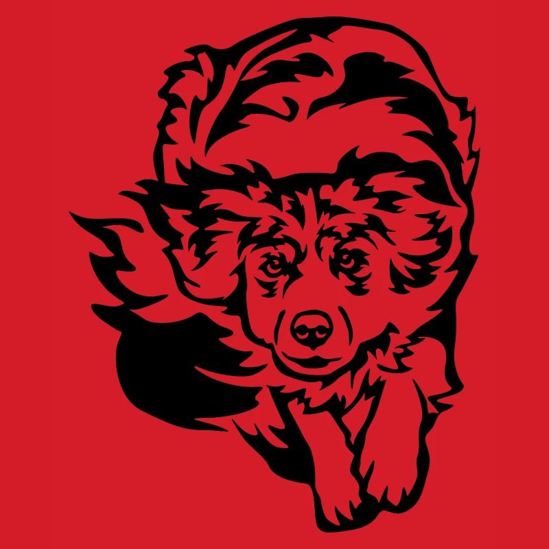 Australian Shepherd