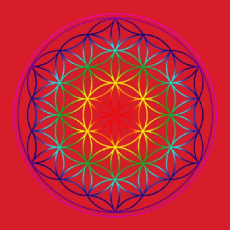 REGENBOGENBLUME DES LEBENS