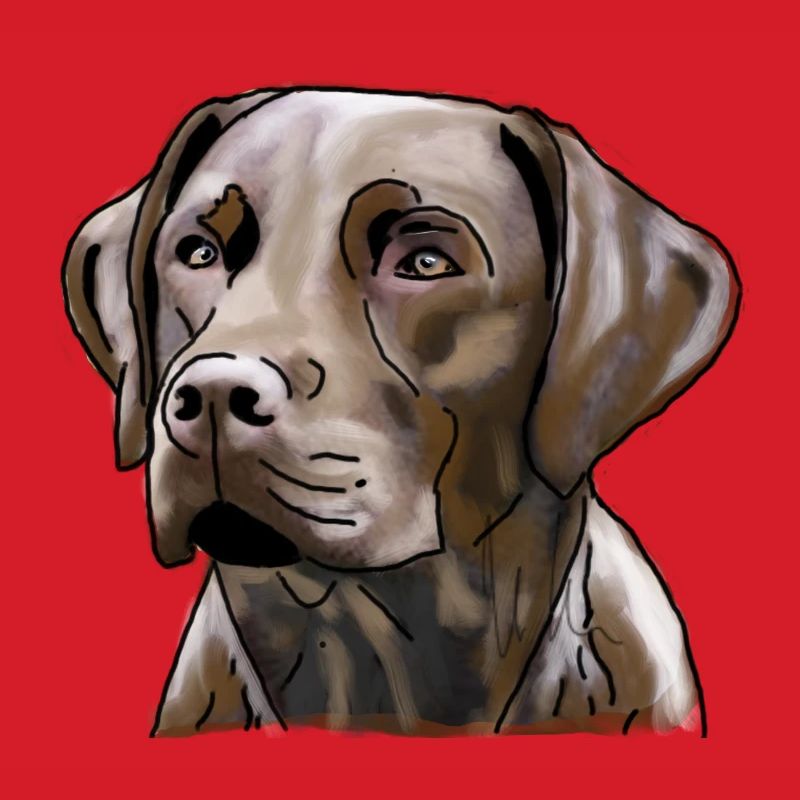 Labrador