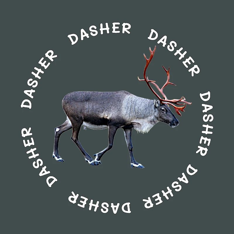 DASHER