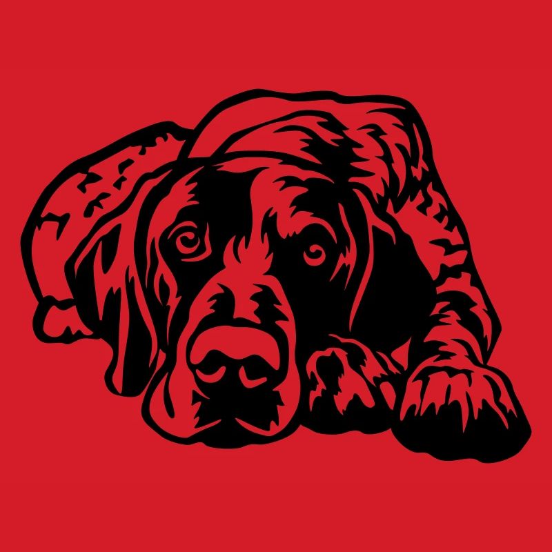 German Shorthaired Pointer