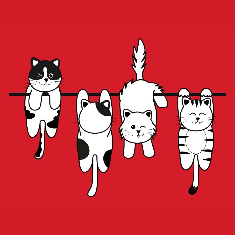 Wäsche Katze