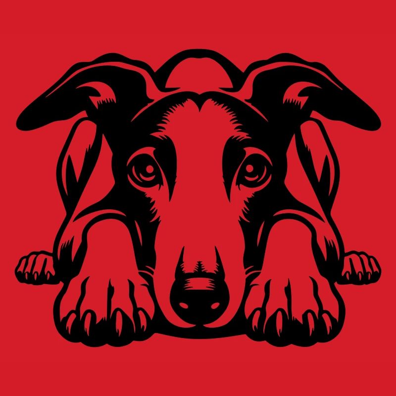 Whippet Kopf mit Pfoten