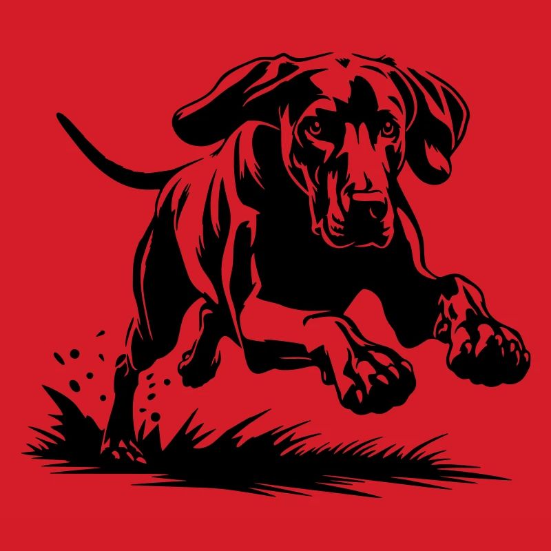 Weimaraner