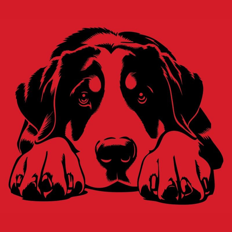 Großer Schweizer Sennenhund