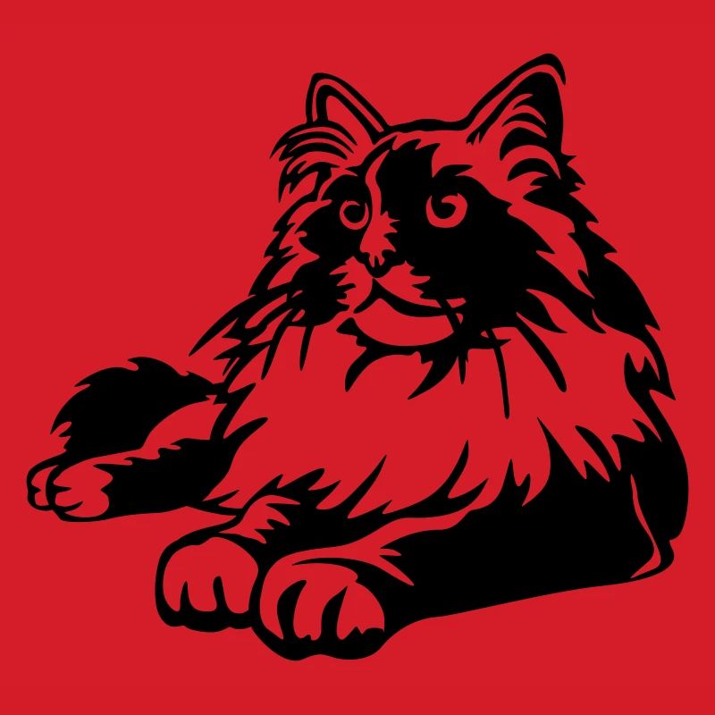 Ragdoll Katze