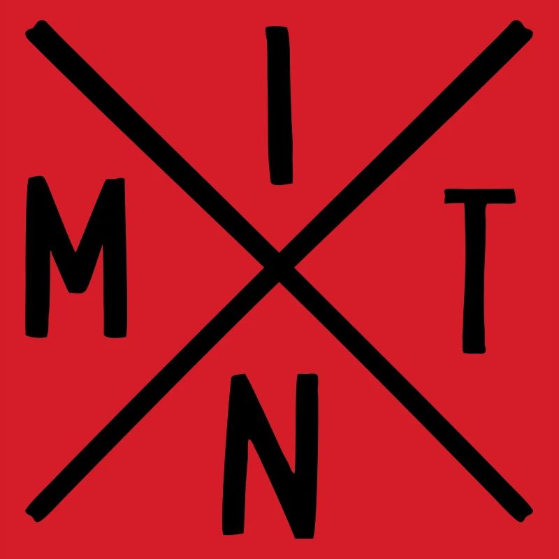 MINT Fächer