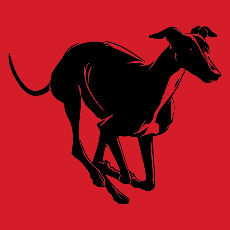 Greyhound