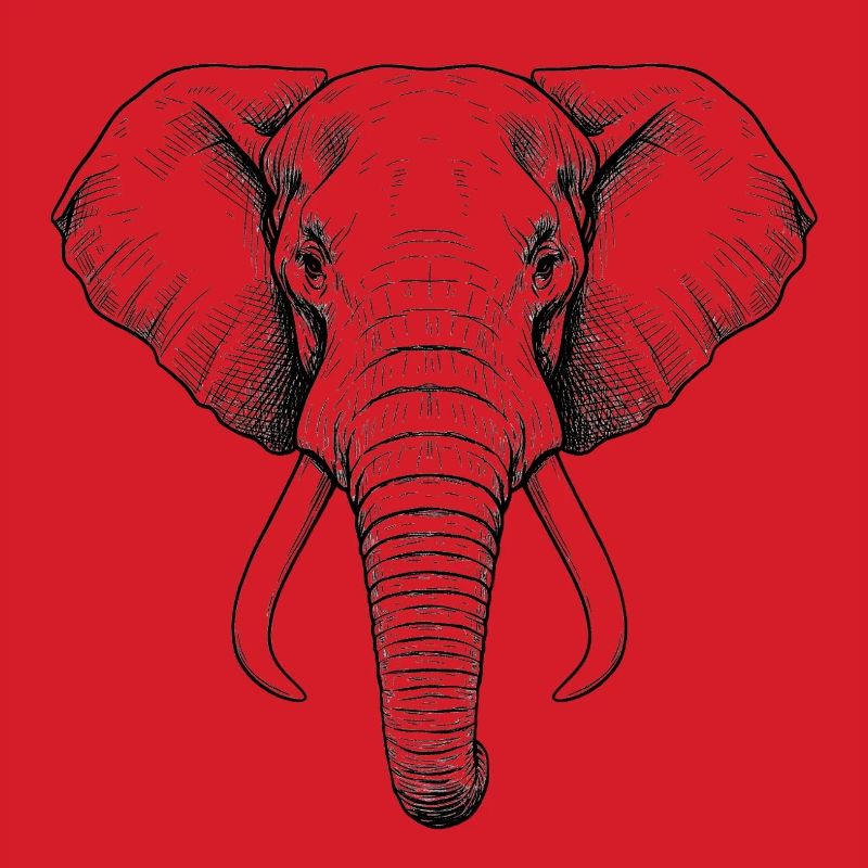Elefant