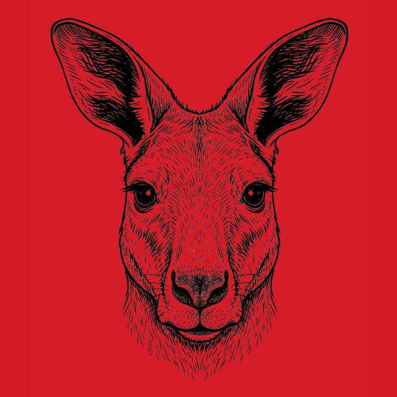 Kangaroo