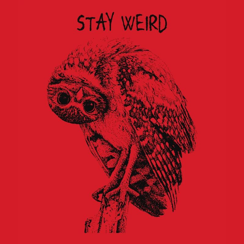 Stay Weird Eule