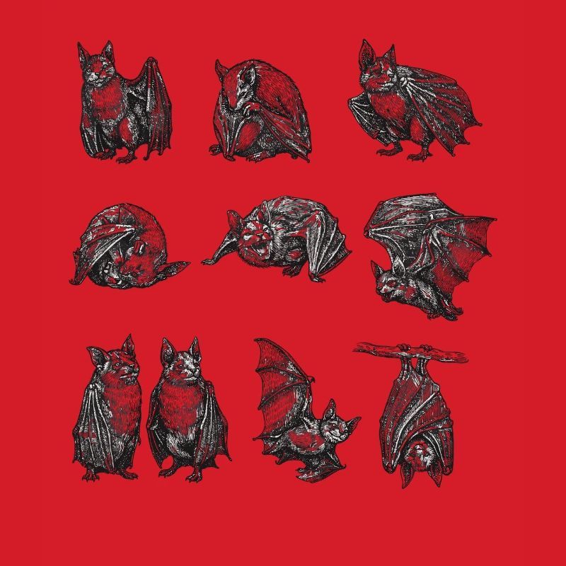Night Bat Silhouettes Pattern