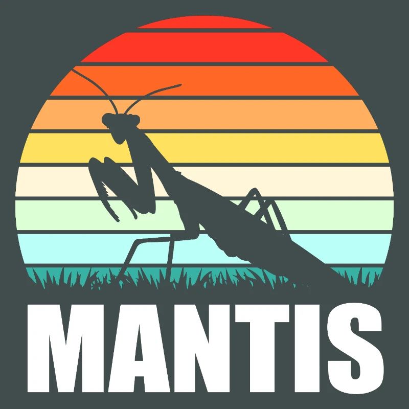 Mantis Gottesanbeter Gottesanbeterin