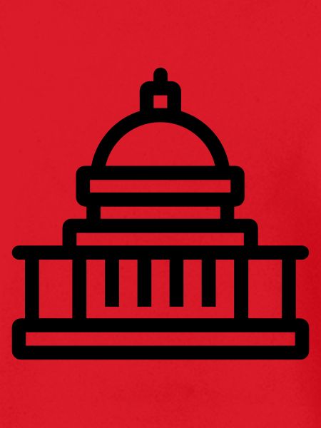 government