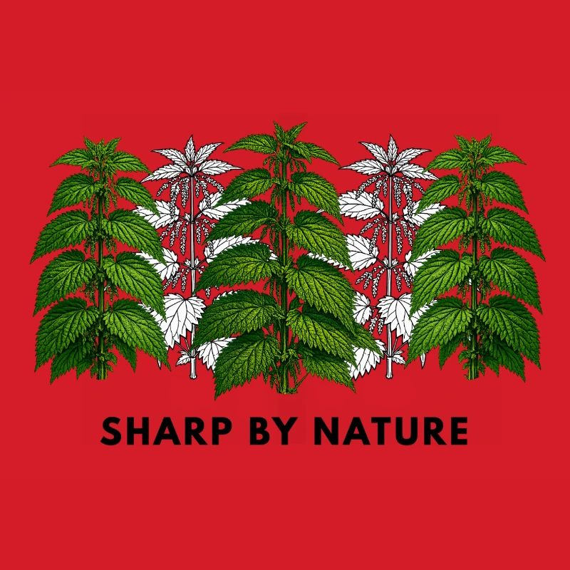 Stinging nettle is sharp by nature