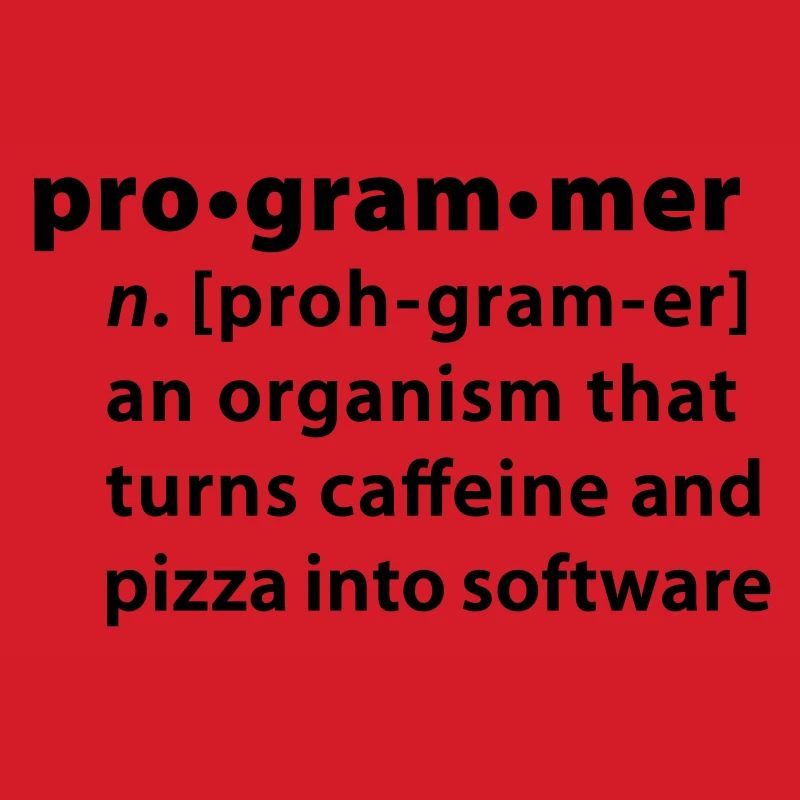 Programmdefinition - die Definition Programmer