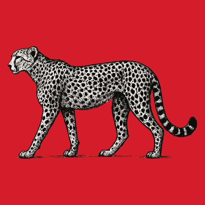 Black and White Leopard Pattern