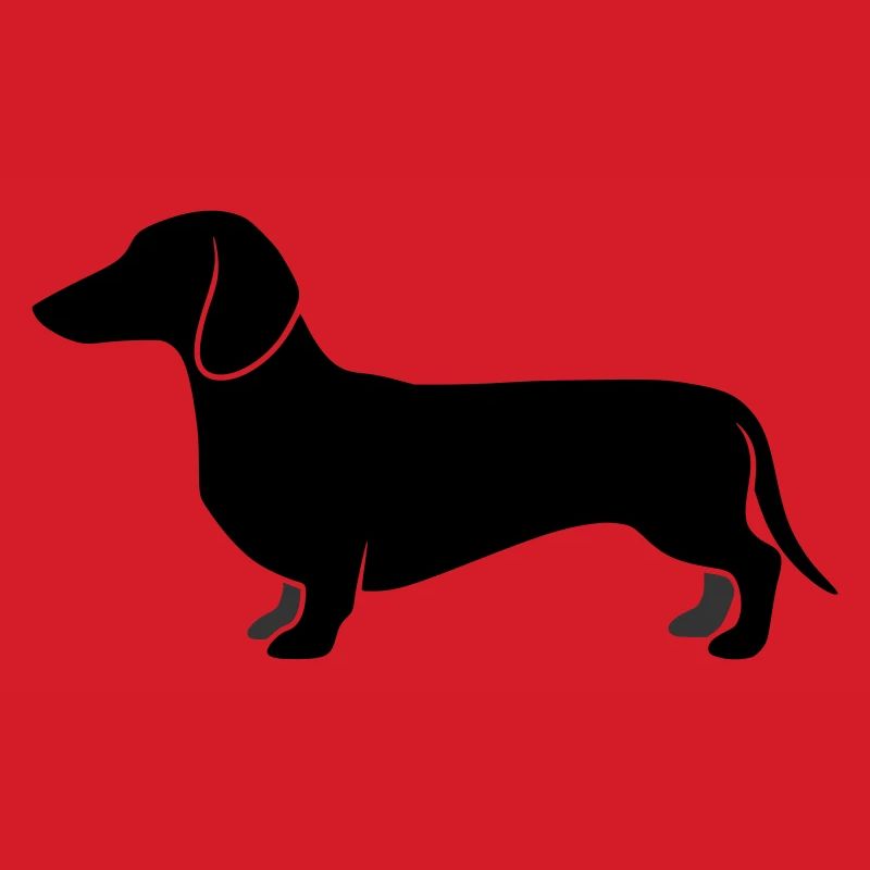 Teckel Jagdhund Profil