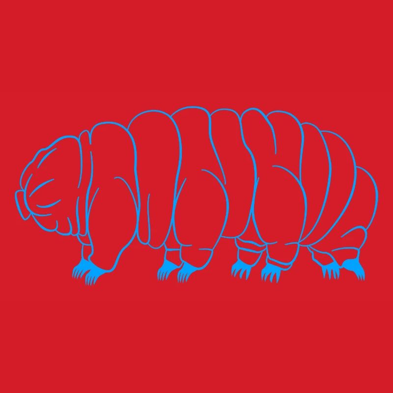 Bärtierchen Tardigrades Wasserbär Tardigrade