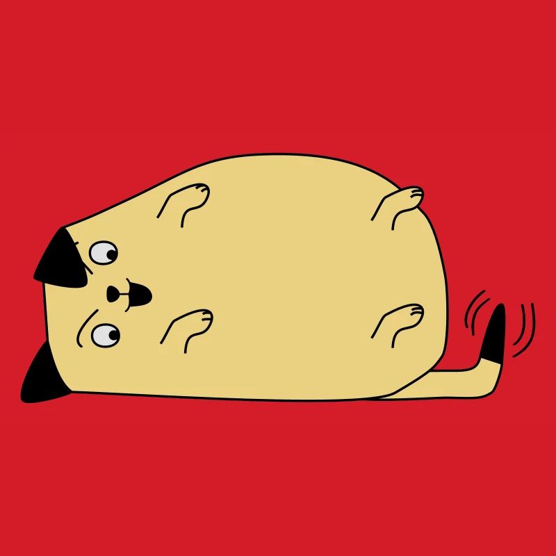 Chien regarde sa queue