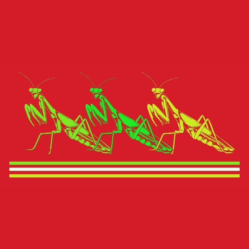 Mantis Gottesanbeter Gottesanbeterin