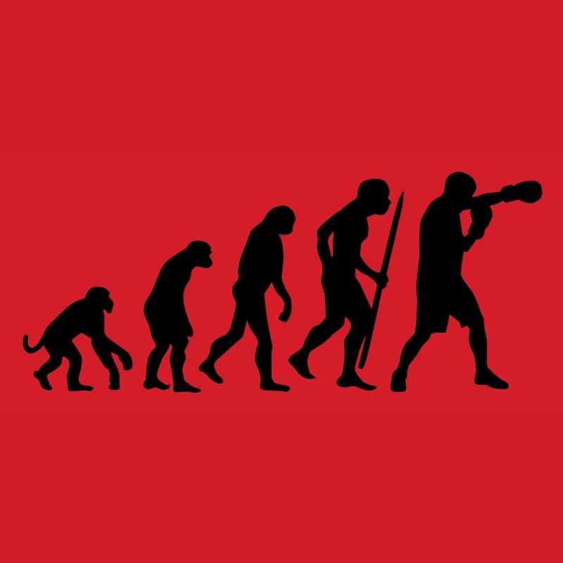 Evolution de la boxe