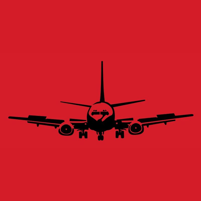 _737_1