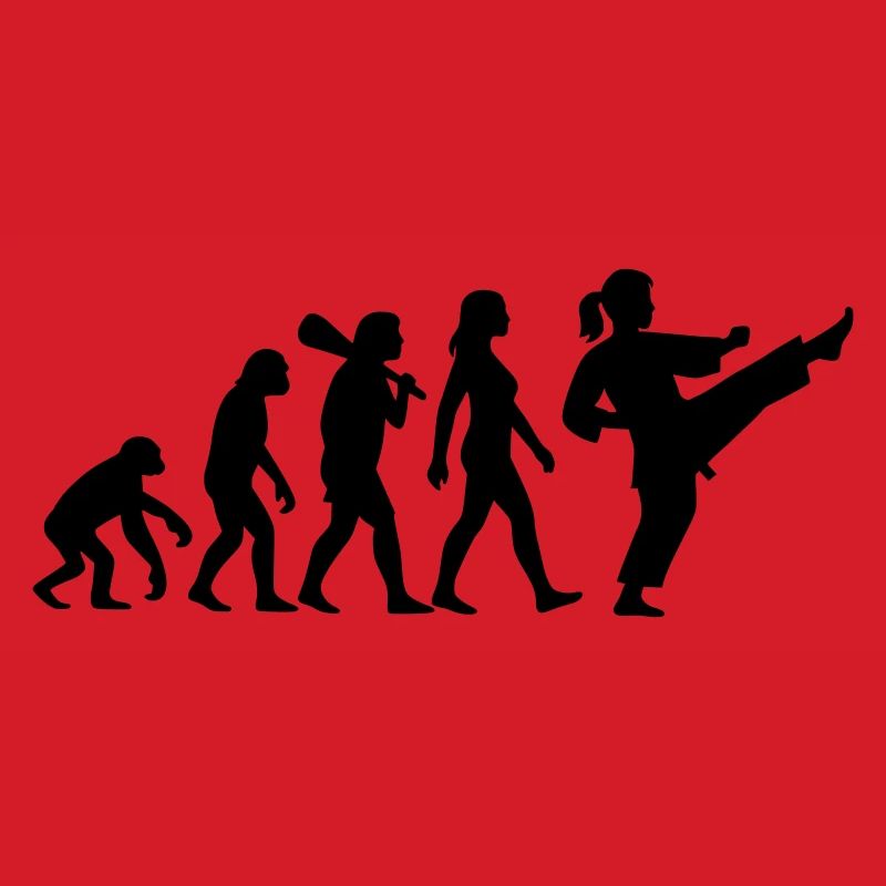 Karate Evolution