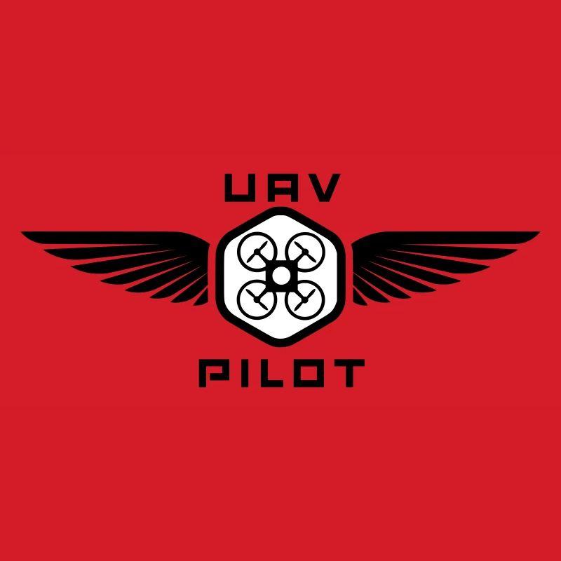 UAV PILOT2