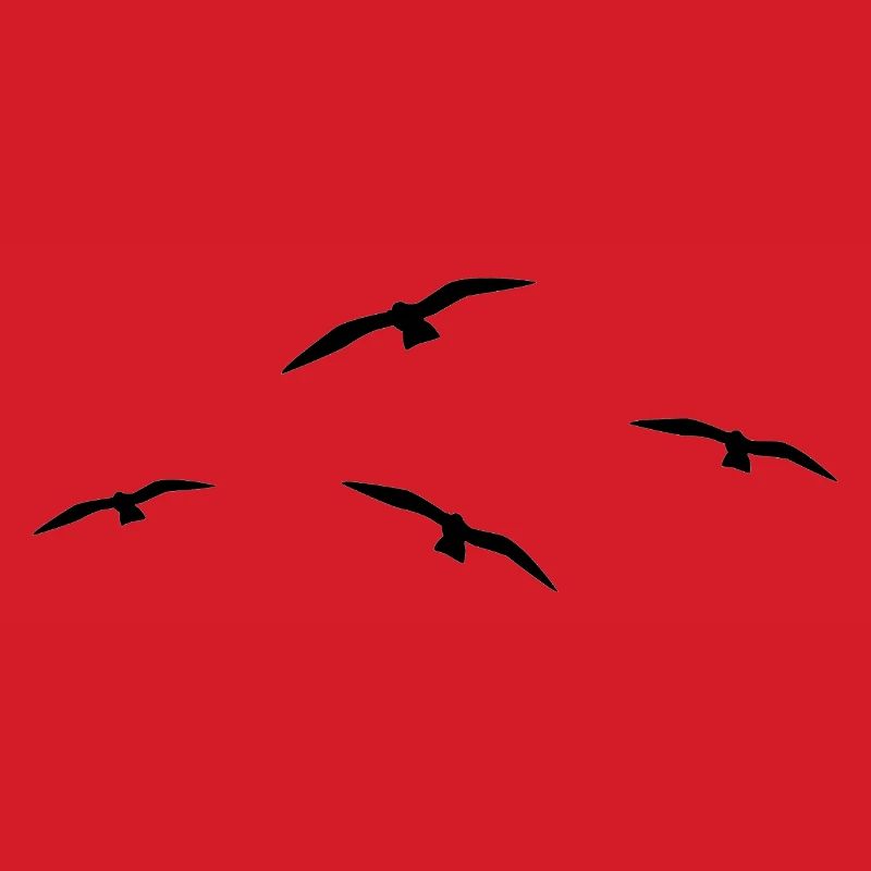 Fliegende Möwe