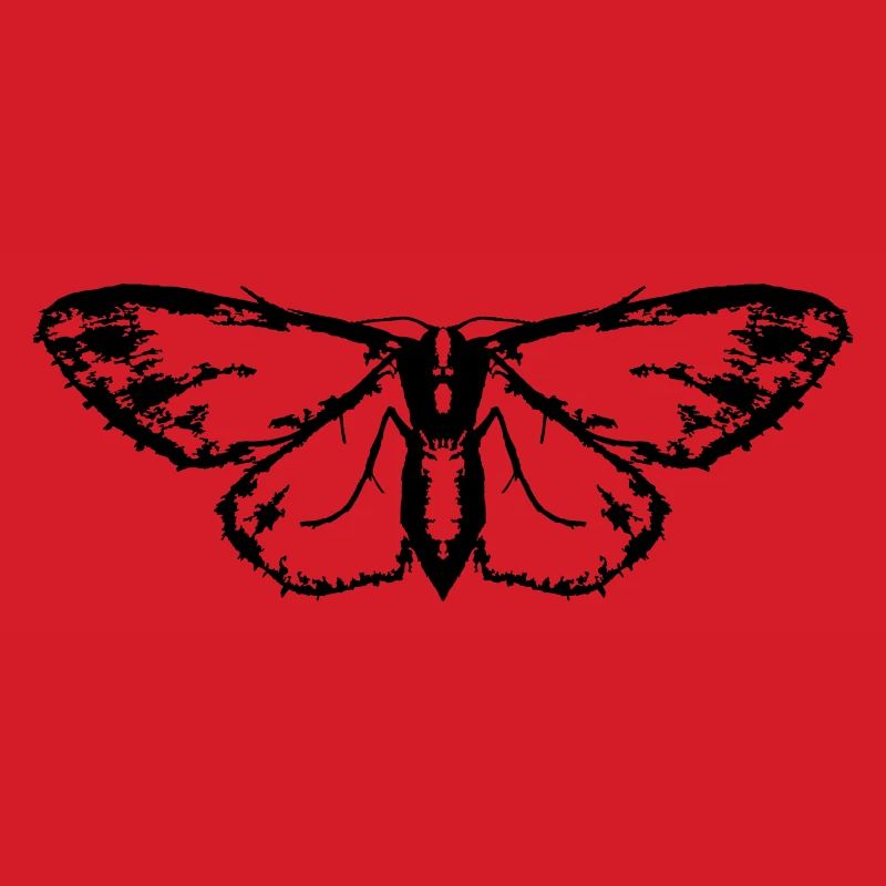 Moth / Butterfly / Moth