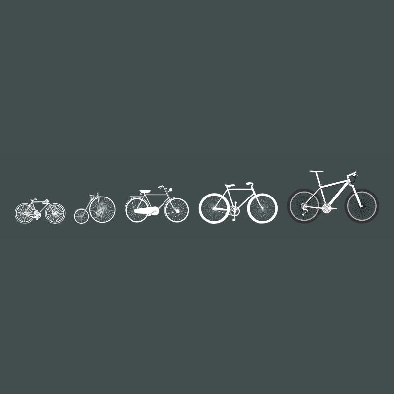 Cycling evolution