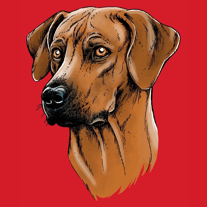 Rhodesian Ridgeback