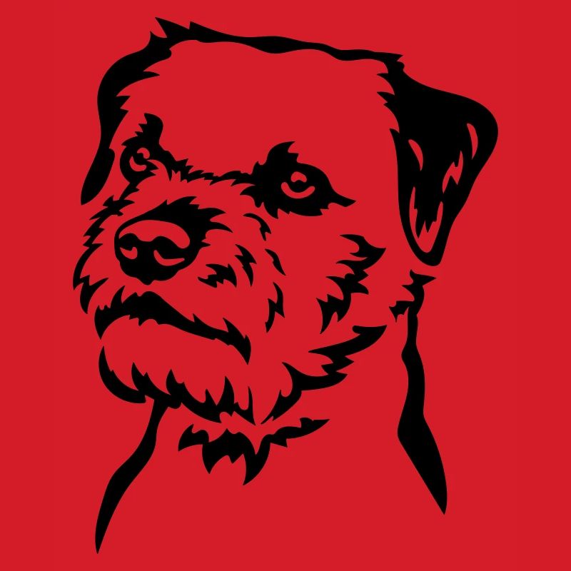 Border Terrier Head