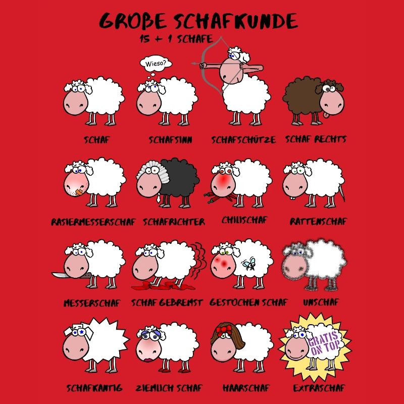 Great sheep knowledge