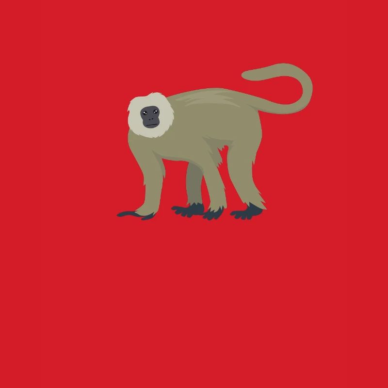 Eleganter Langur
