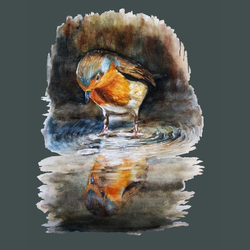 robin
