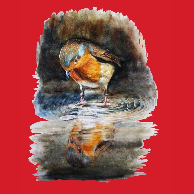 robin