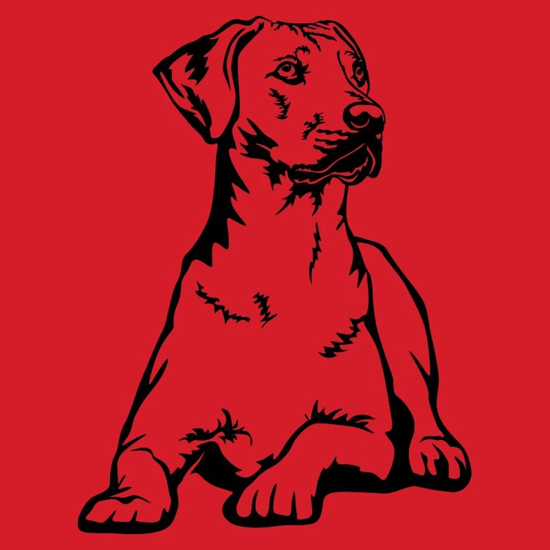 Rhodesian Ridgeback