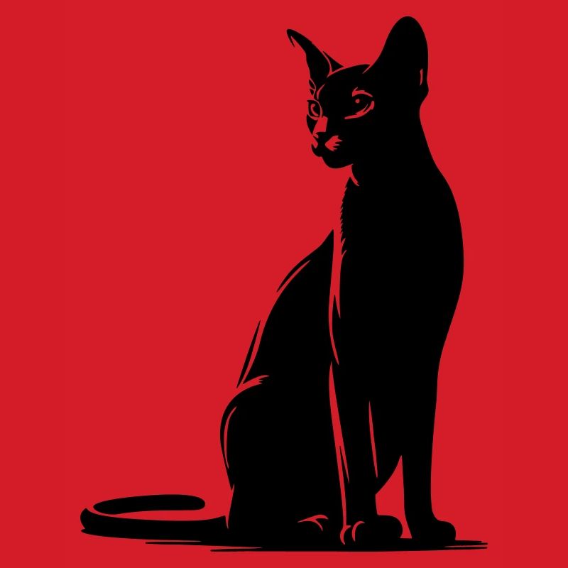 Abessiner Katze