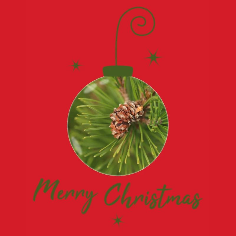 Grüne Weihnachtskugel mit Tannenzapfen