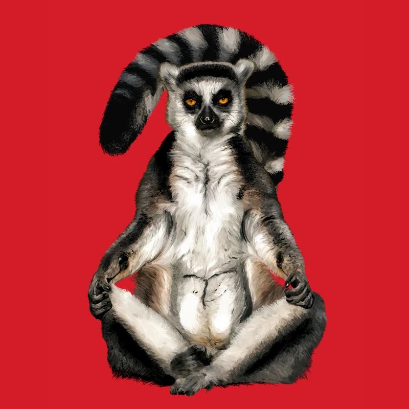 Lemur Katta